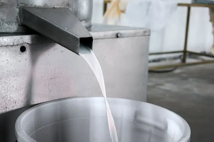 Fresh coconut milk flowing into a stainless-steel vessel