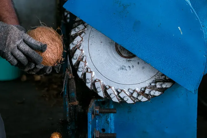 Coconut being dehusked on a machine at the Aaral Exports unit