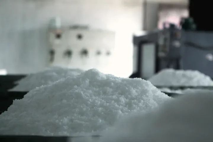 Freshly dried low-fat desiccated coconut