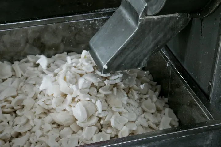 Fresh white coconut kernel fed into the grater