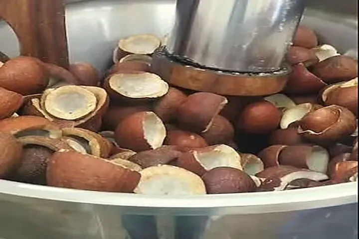 Copra in a traditional wooden press (Kanchi Ghani)